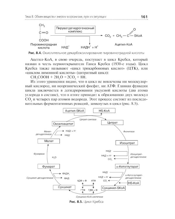 Теория и практика лабораторных биохимических исследований: Учебник