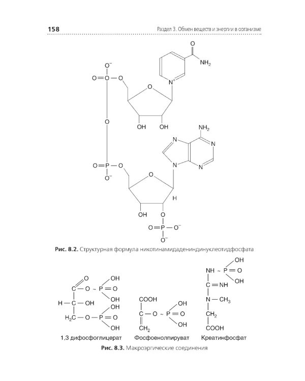 Теория и практика лабораторных биохимических исследований: Учебник