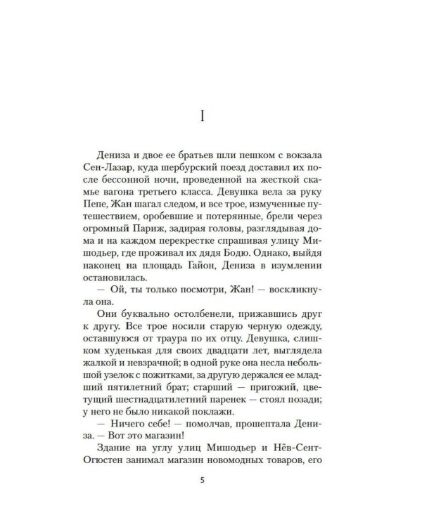 Дамское Счастье: роман