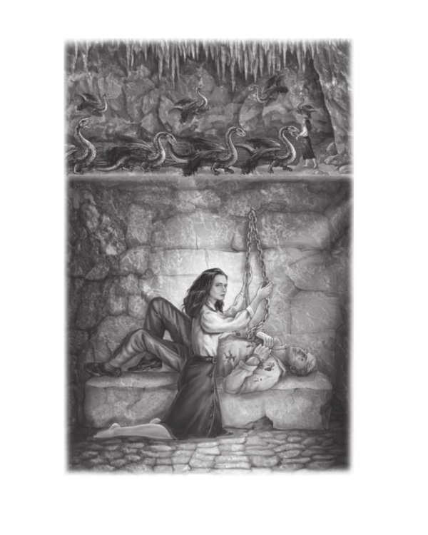 Королевская кровь - 6: Темное наследие