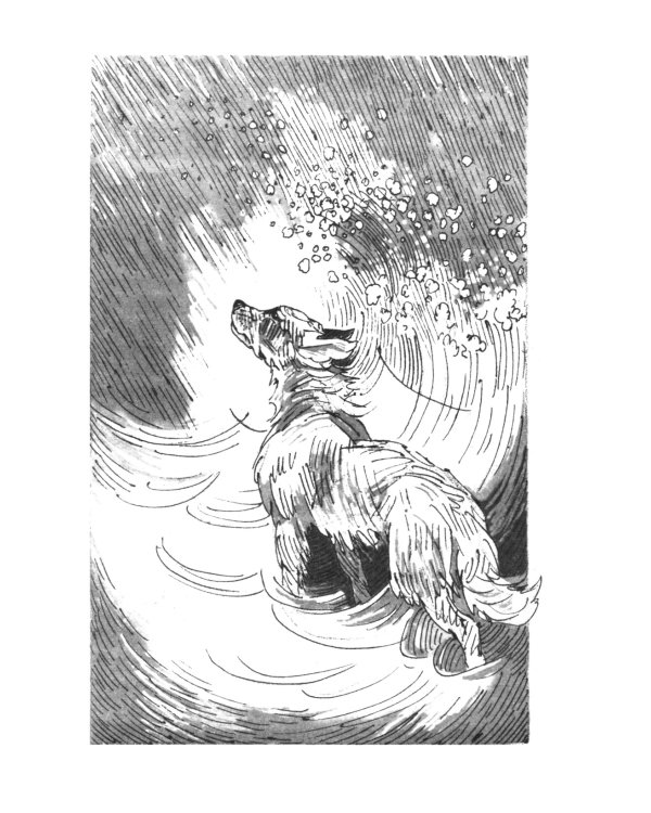 Хроники Стаи. Бескрайнее Озеро