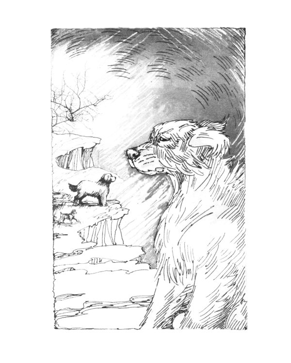 Хроники Стаи. Бескрайнее Озеро