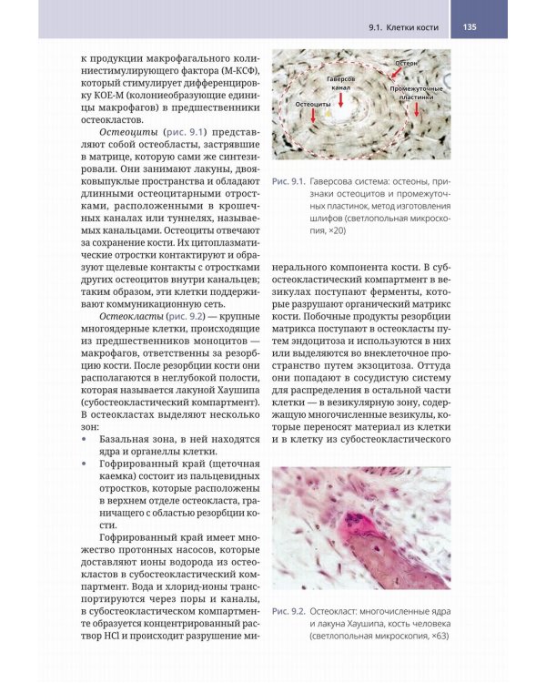Судебно-медицинская радиология. От идентификации личности до посмертной визуализации