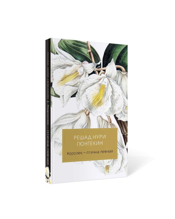 Королек - птичка певчая