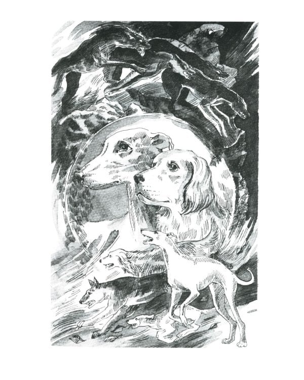 Хроники Стаи. Собачья гроза