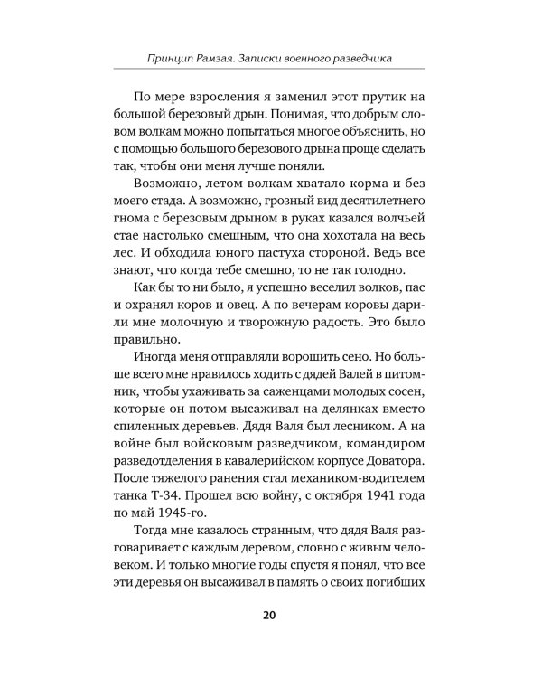 Принцип Рамзая. Записки военного разведчика