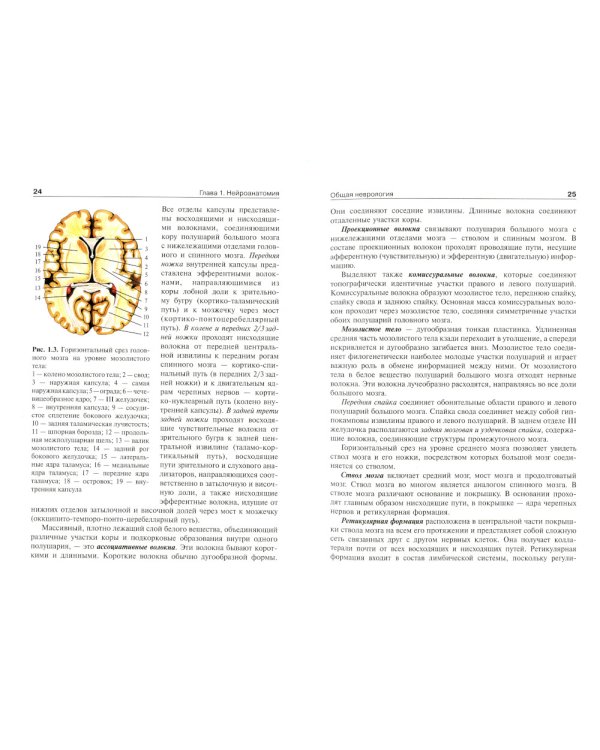 Детская неврология и нейрохирургия: Учебник. В 2 т. Т. 1