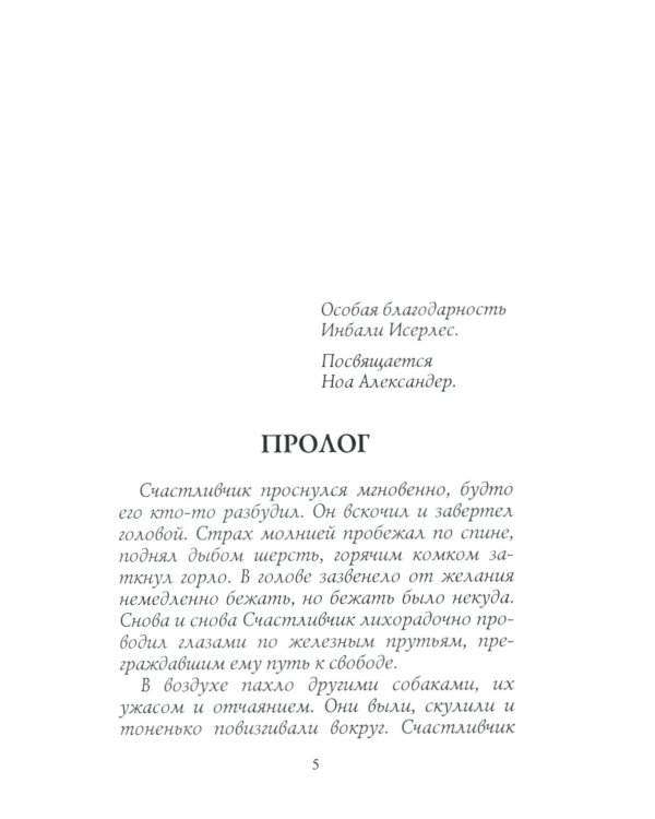 Хроники Стаи. Собачья гроза