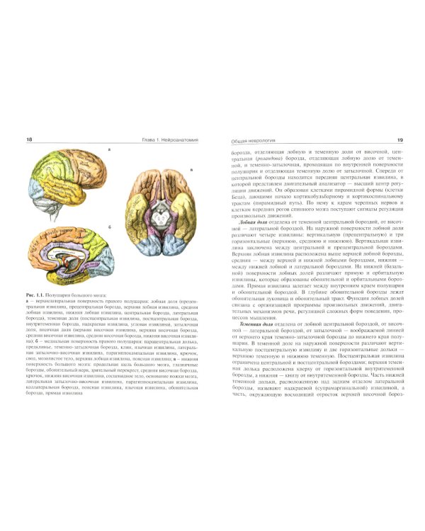 Детская неврология и нейрохирургия: Учебник. В 2 т. Т. 1