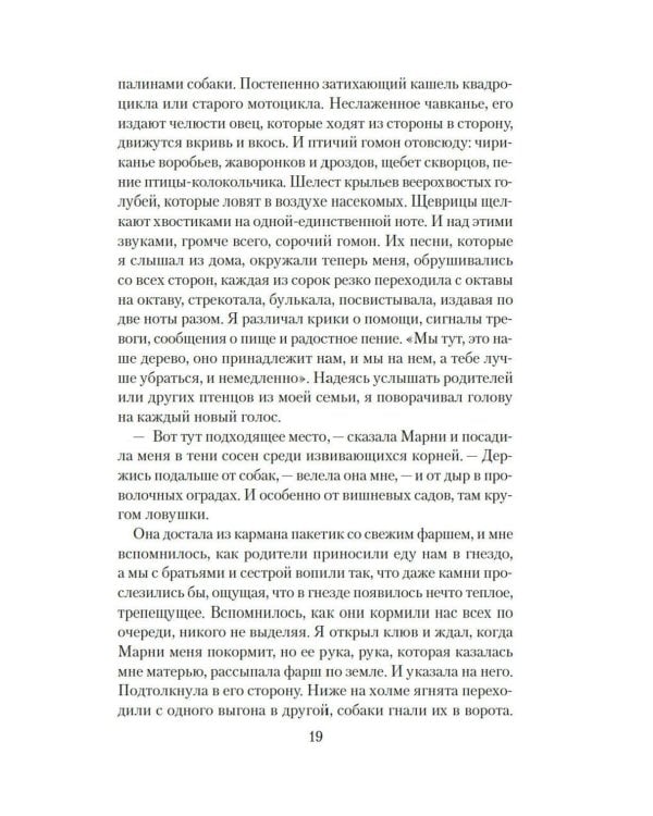 Мир глазами Тамы: роман