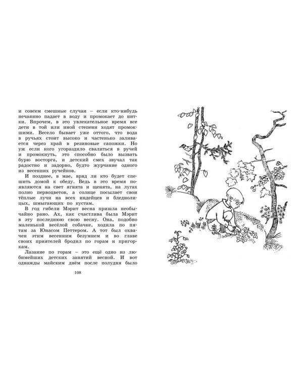 Отважная Кайса и другие дети: рассказы