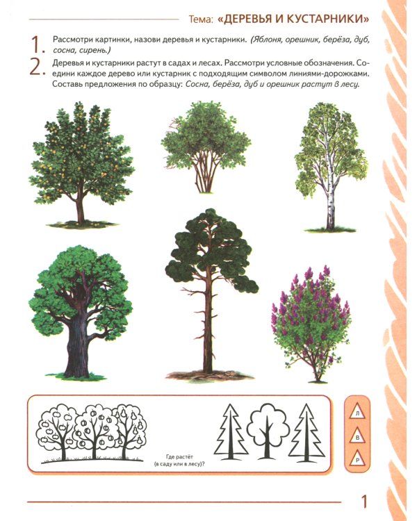 Развиваем связную речь у детей 6-7 лет с ОНР. Альбом 1. Мир растений. 3-е изд., испр