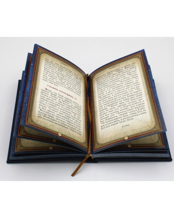 Псалтирь святого пророка и царя Давида (Кожа, золот.тиснен., гражданский шрифт)