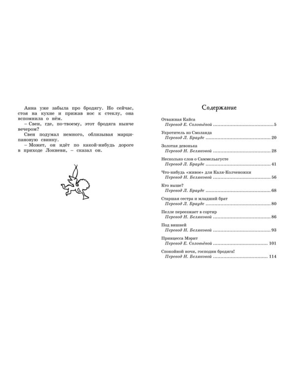 Отважная Кайса и другие дети: рассказы