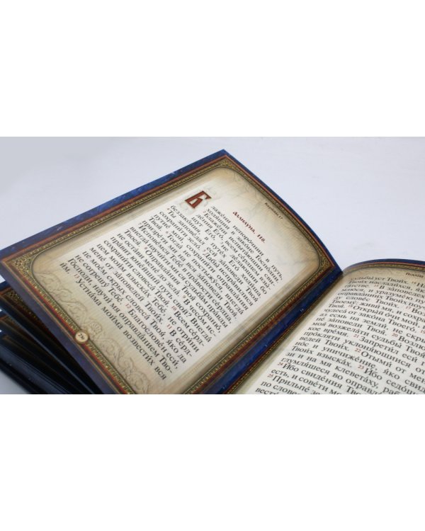 Псалтирь святого пророка и царя Давида (Кожа, золот.тиснен., гражданский шрифт)