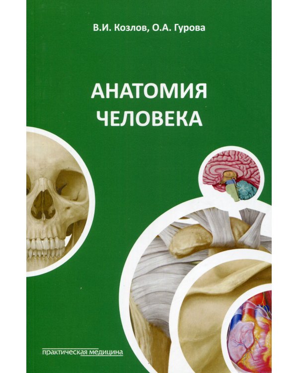 Анатомия человека: Учебное пособие. 4-е изд., стер