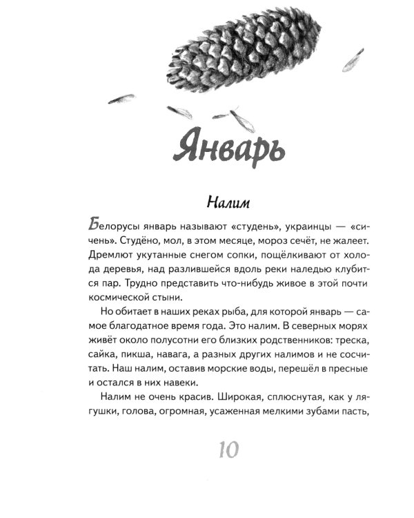 Иду по тайге. 2-е изд., стер