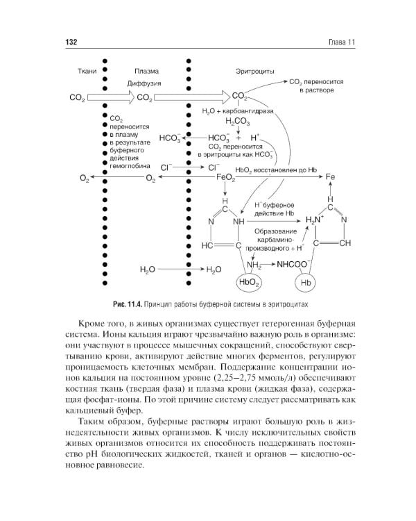 Физическая химия: Учебник