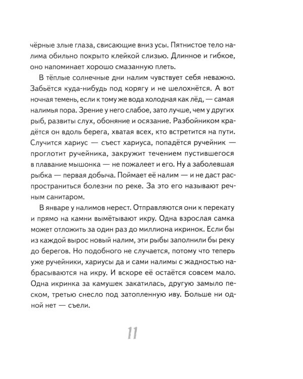 Иду по тайге. 2-е изд., стер