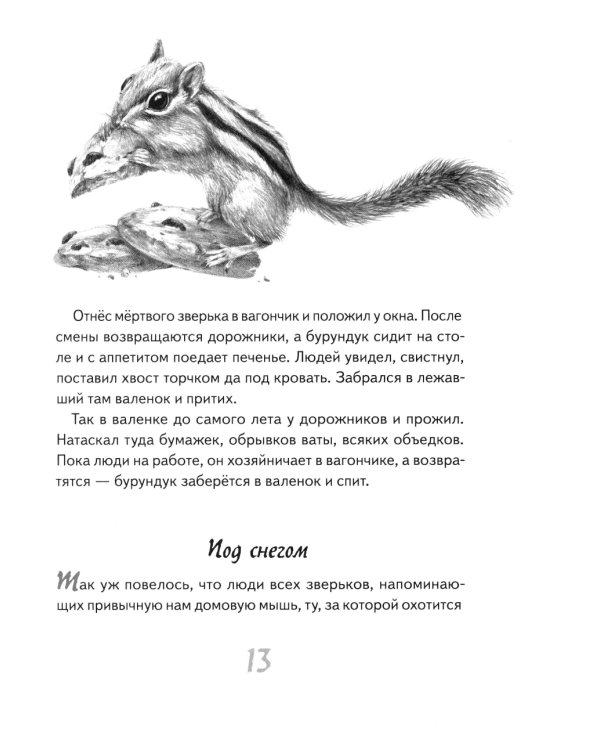 Иду по тайге. 2-е изд., стер