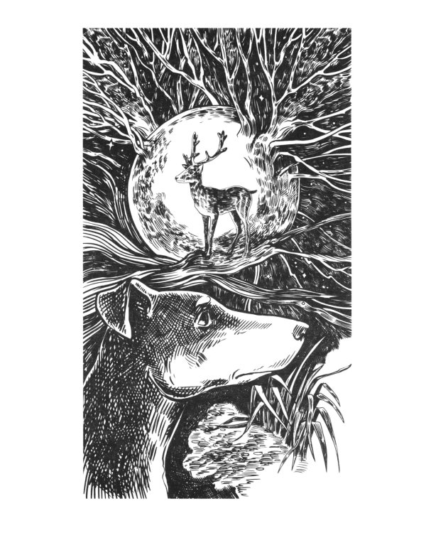 Хроники Стаи. Красная луна