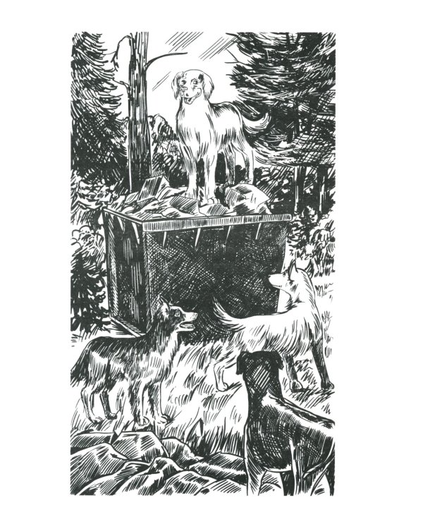 Хроники Стаи. Красная луна