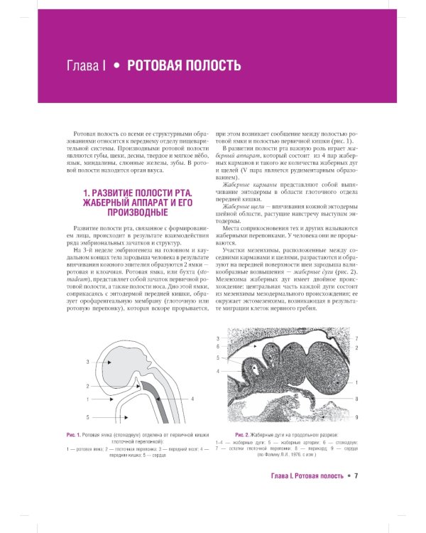Гистология органов полости рта: учебное пособие (атлас)