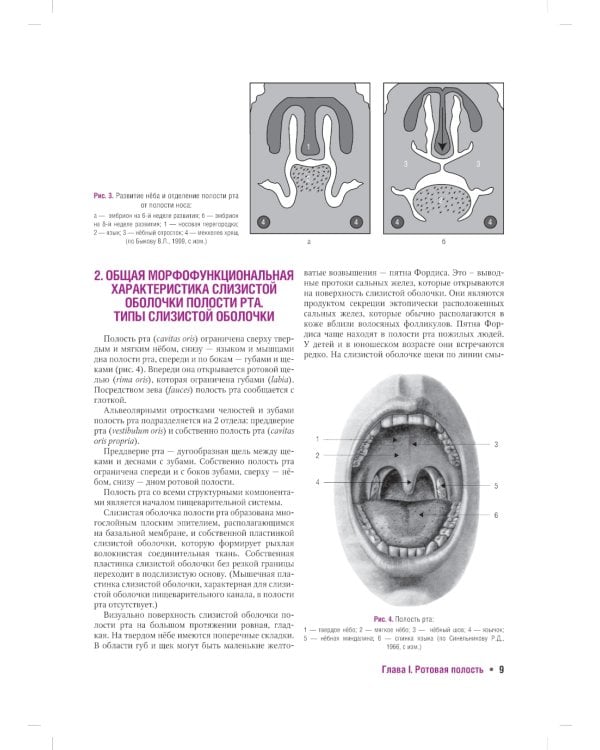 Гистология органов полости рта: учебное пособие (атлас)