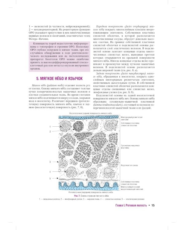 Гистология органов полости рта: учебное пособие (атлас)