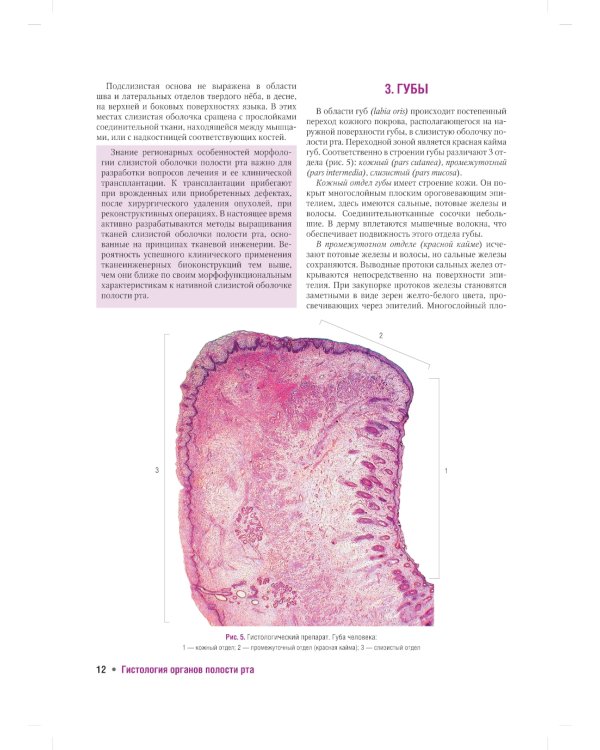 Гистология органов полости рта: учебное пособие (атлас)