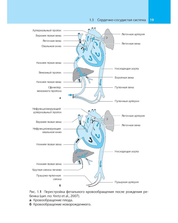 Анестезия у детей: Справочник. 2-е изд