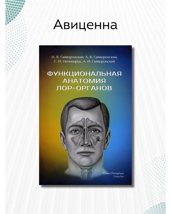 Функциональная анатомия ЛОР-органов