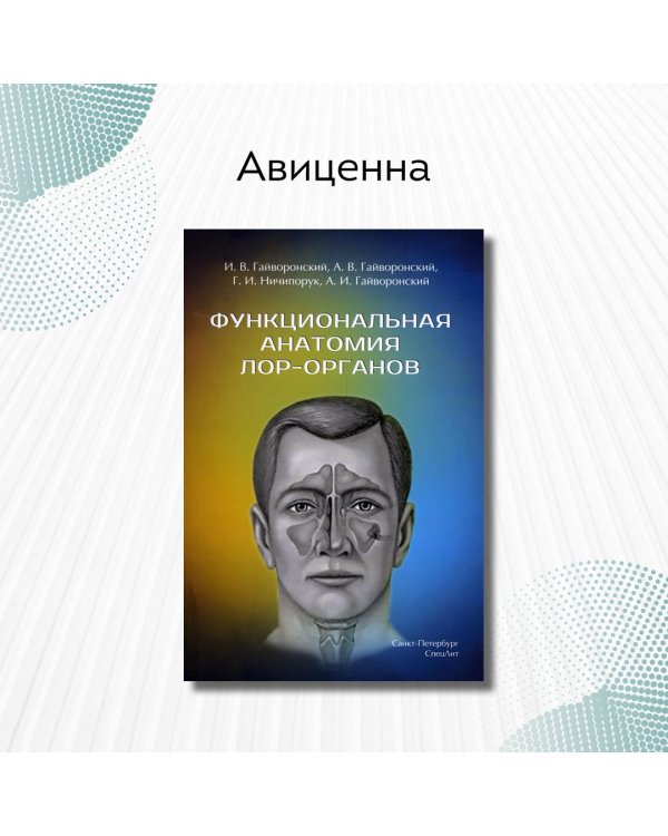 Функциональная анатомия ЛОР-органов