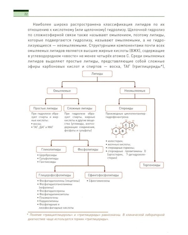 Биохимия человека. Обмен липидов: Учебное пособие