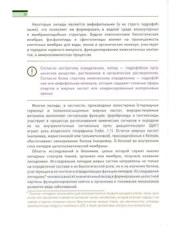 Биохимия человека. Обмен липидов: Учебное пособие