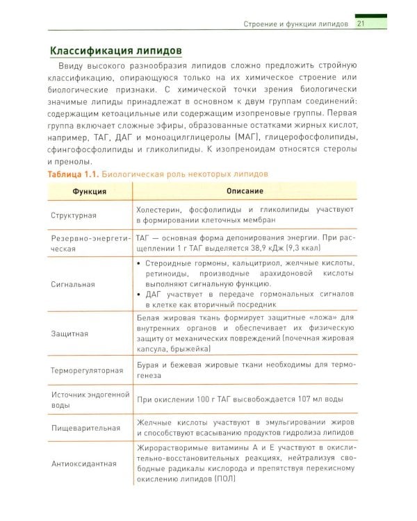 Биохимия человека. Обмен липидов: Учебное пособие