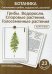 Ботаника. Систематика грибов, водорослей, растений. Грибы. Водоросли. Споровые растения. Голосеменные растения. (КАРТОЧКИ 23 шт.)