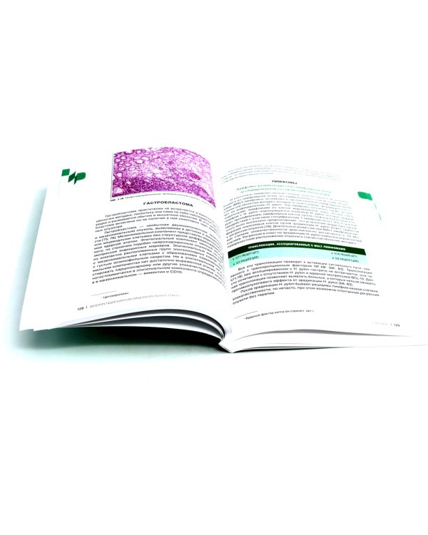 Интерпретация биопсий пищеварительного тракта: В 2-х т. (комплект в 2-х книг)