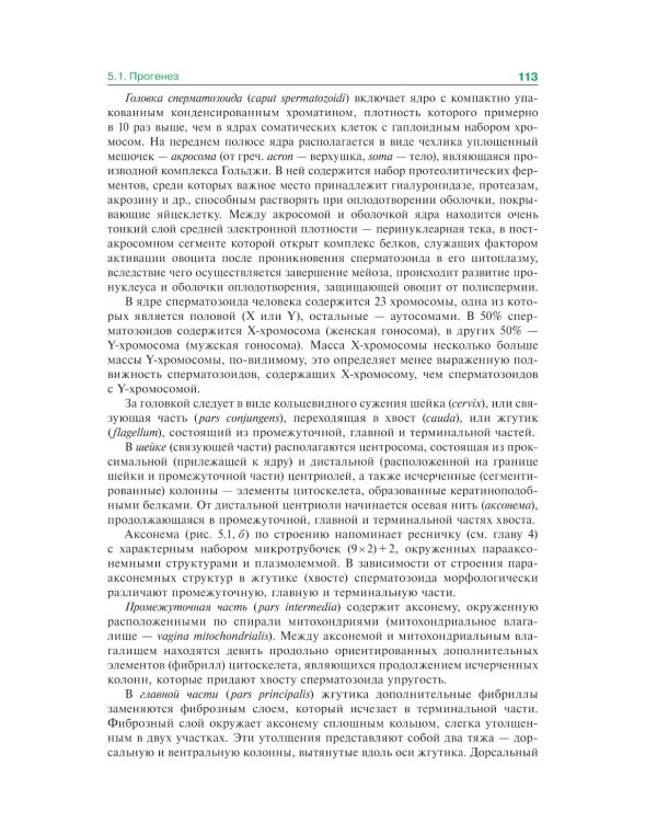 Гистология, эмбриология и цитология: Учебник. 7-е изд., перераб. и доп