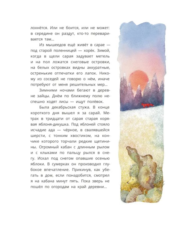 Только не обижай: рассказы и стихи