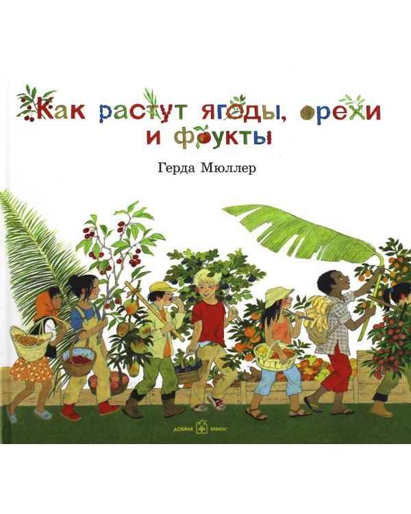 Как растут ягоды, орехи и фрукты?