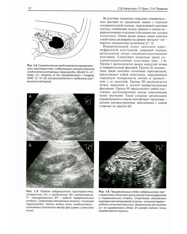 Ультразвуковое исследование в урологии и нефрологии: монография. 4-е изд., стер