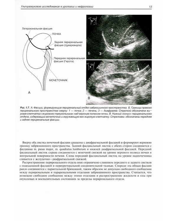 Ультразвуковое исследование в урологии и нефрологии: монография. 4-е изд., стер