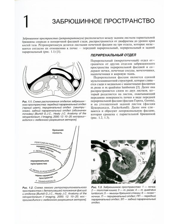 Ультразвуковое исследование в урологии и нефрологии: монография. 4-е изд., стер