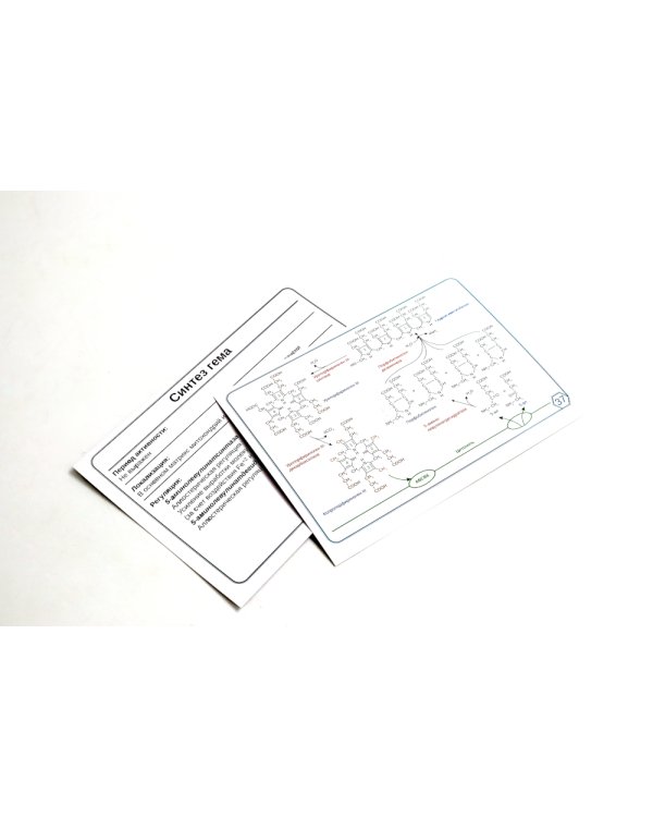 Биохимия. Основные метаболические пути организма человека (38 карточек). Анализ осадка мочи (комплект из 2-х книг)