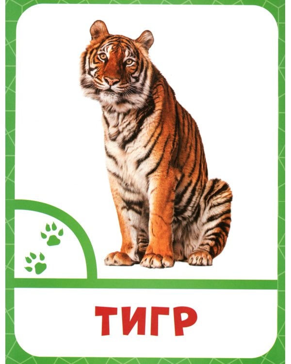 Животные жарких стран: 0+