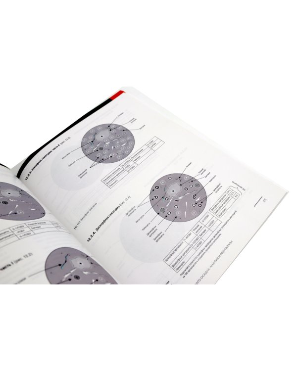 Биохимия. Основные метаболические пути организма человека (38 карточек). Анализ осадка мочи (комплект из 2-х книг)