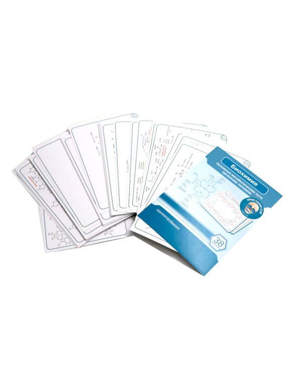 Биохимия. Основные метаболические пути организма человека (38 карточек). Анализ осадка мочи (комплект из 2-х книг)