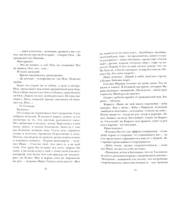 Блики, или Приложение к основному: роман