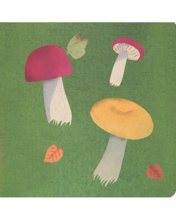 Где твой цветок? Где твой гриб? Где твоя малинка? Где твое деревце? (комплект из 4-х книг)